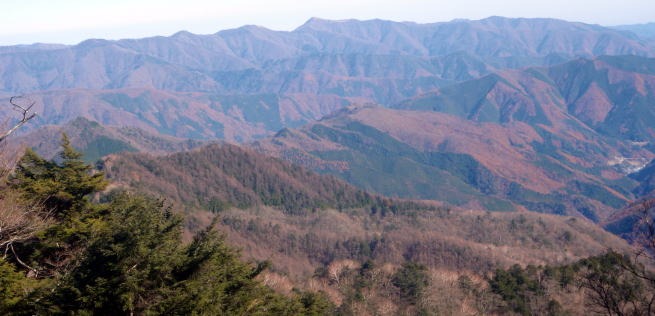 2013.11.24　サカリ山（尾根歩き）
