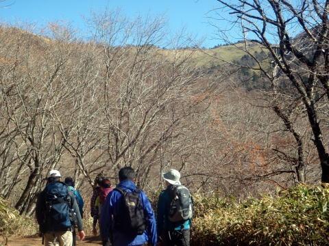 2013.11.24　サカリ山（尾根歩き）