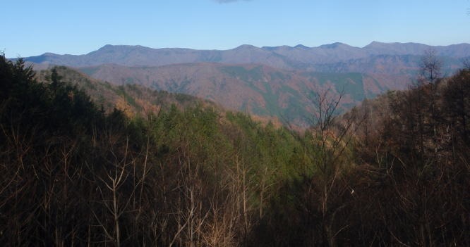 2013.11.24　サカリ山（尾根歩き）