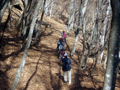 2013.11.24　サカリ山（尾根歩き）