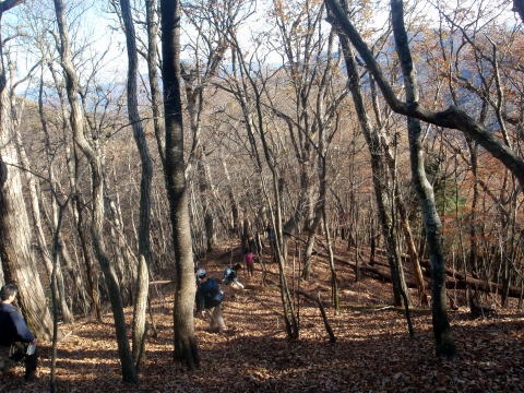 2013.11.24　サカリ山（尾根歩き）