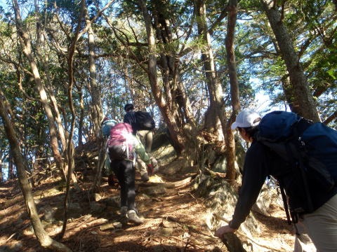 2013.11.24　サカリ山（尾根歩き）