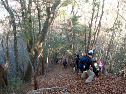 2013.11.24　サカリ山（尾根歩き）