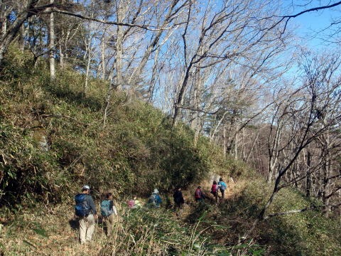 2013.11.24　サカリ山（尾根歩き）