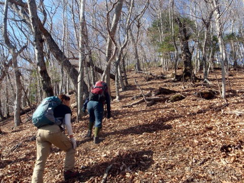 2013.11.24　サカリ山（尾根歩き）