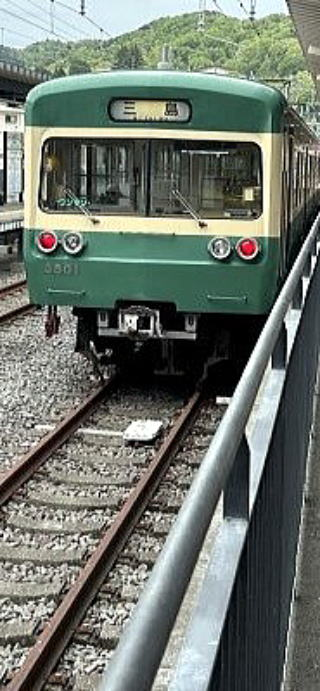 2025.04.19-20 伊豆・天城峠~猫越山~達磨山(ハイキング)