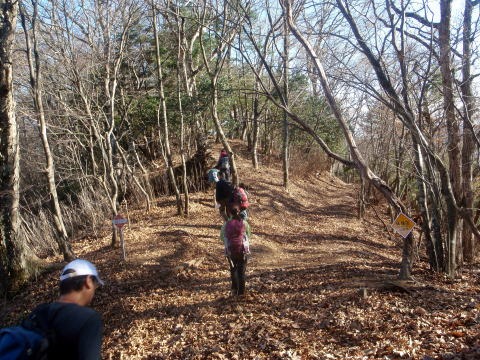 2013.11.24　サカリ山（尾根歩き）