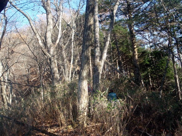 2013.11.24　サカリ山（尾根歩き）