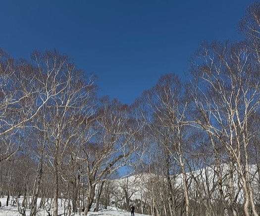 2025.4.26 尾瀬・至仏山(雪山)