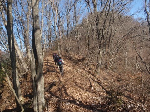 2011.1.9 滝子山(尾根歩き)