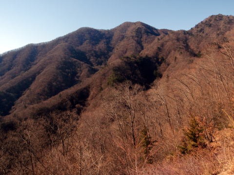 2011.1.9 滝子山(尾根歩き)