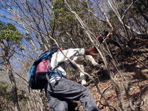 2011.1.9 滝子山(尾根歩き)