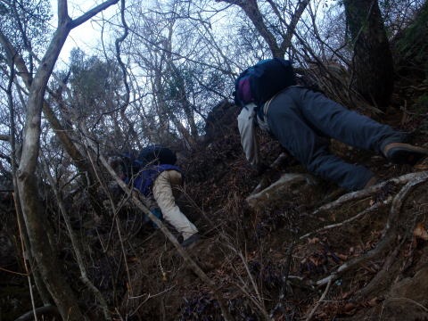 2011.1.9 滝子山(尾根歩き)