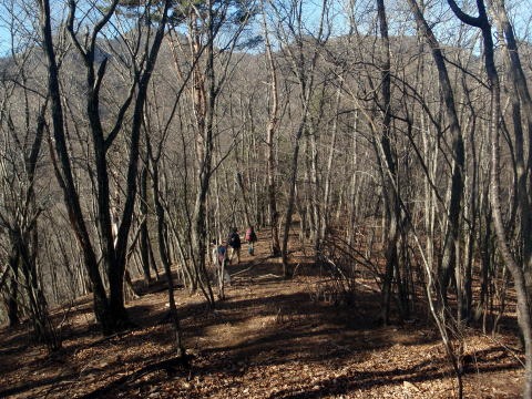2011.1.9 滝子山(尾根歩き)
