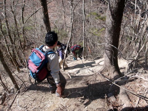 2011.1.9 滝子山(尾根歩き)
