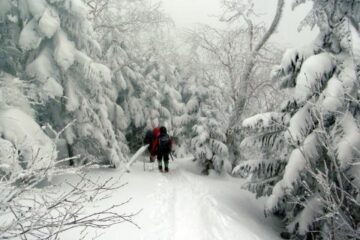2011.1.15-16　赤岳（雪山）