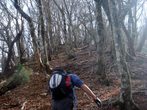 2011.1.23 大杉山(尾根歩き)