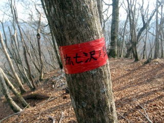 2011.1.23 大杉山(尾根歩き)