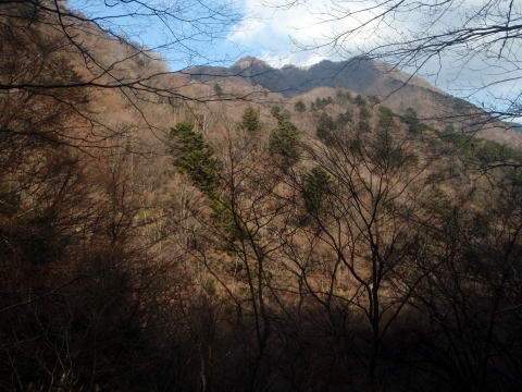 2011.1.23 大杉山(尾根歩き)