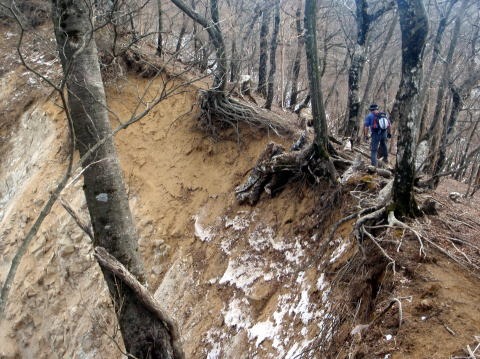 2011.1.23 大杉山(尾根歩き)