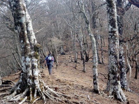 2011.1.23 大杉山(尾根歩き)