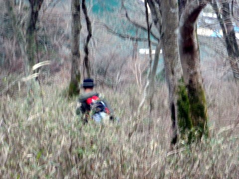 2011.1.23 大杉山(尾根歩き)