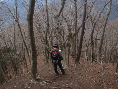 2011.1.23 大杉山(尾根歩き)