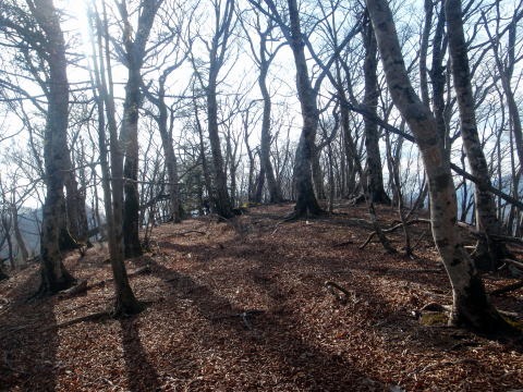 2011.1.23 大杉山(尾根歩き)