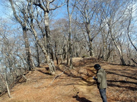 2011.1.23 大杉山(尾根歩き)