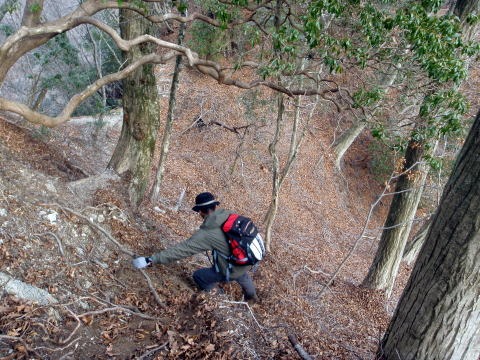 2011.1.23 大杉山(尾根歩き)