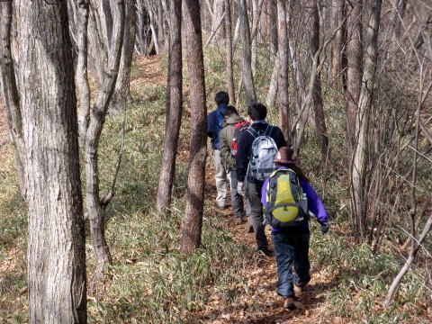 2011.2.5　丸山（尾根歩き）