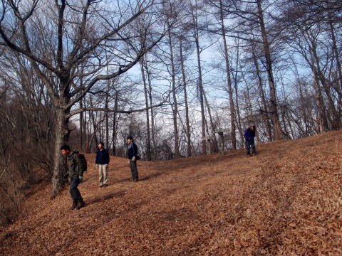 2011.2.5　丸山（尾根歩き）