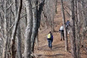2011.2.5　丸山（尾根歩き）