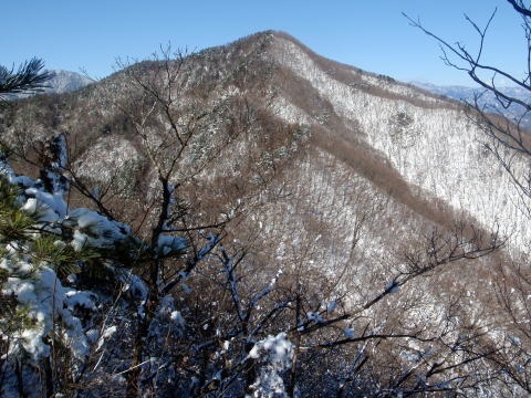 2011.2.13　倉見山（雪山）