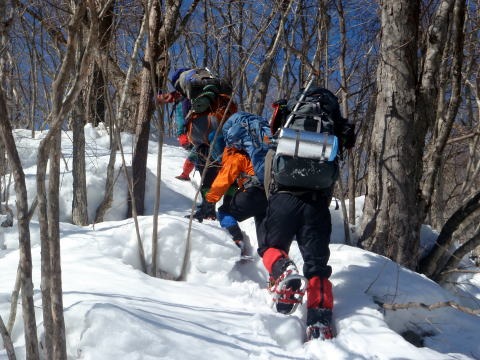 2011.2.19-20 枯木山