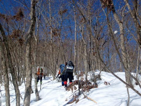 2011.2.19-20 枯木山