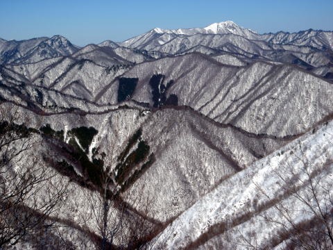 2011.2.19-20 枯木山