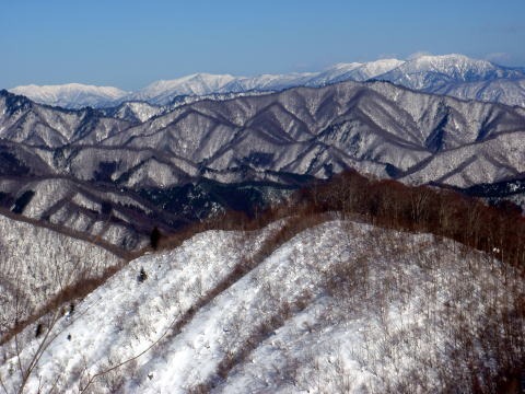 2011.2.19-20 枯木山