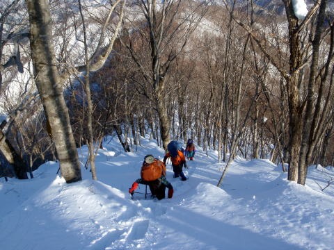 2011.2.19-20 枯木山
