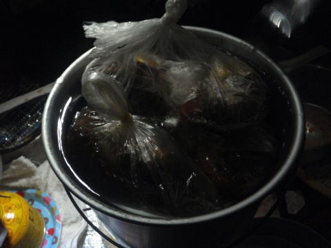 2011.2.19-20 枯木山