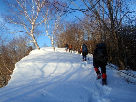 2011.2.19-20 枯木山