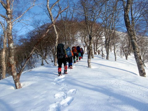 2011.2.19-20 枯木山