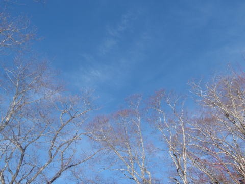 2011.2.19-20 枯木山