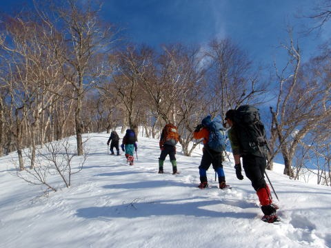 2011.2.19-20 枯木山