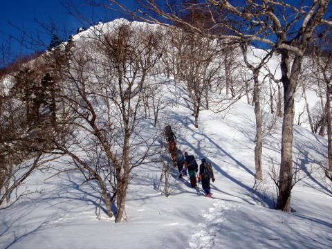2011.2.19-20 枯木山
