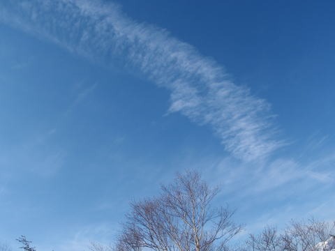 2011.2.19-20 枯木山