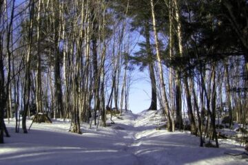 2011.2.26-27　雲取山（尾根歩き）