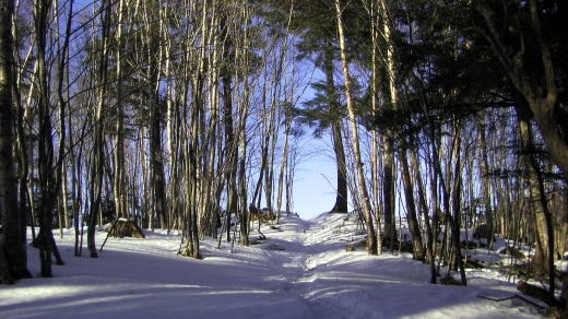2011.2.26-27 雲取山(尾根歩き)