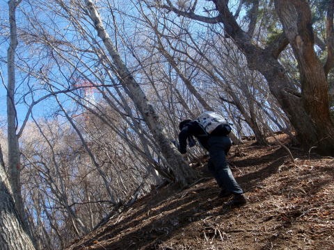 2011.3.5 大蔵高丸(尾根歩き)