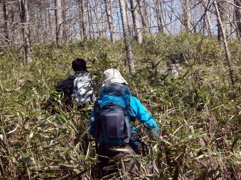 2011.3.5 大蔵高丸(尾根歩き)